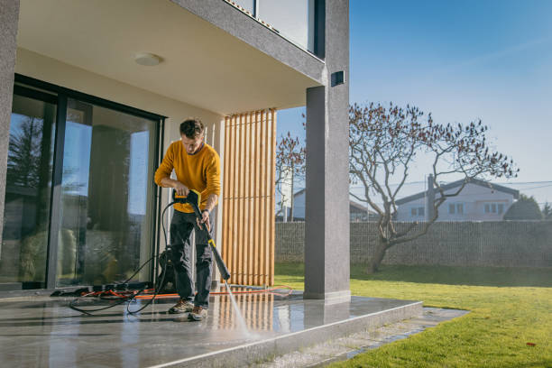 Best Pool Deck Cleaning in Willow Grove, TX